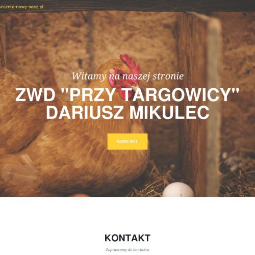 Kury Nowy Sącz