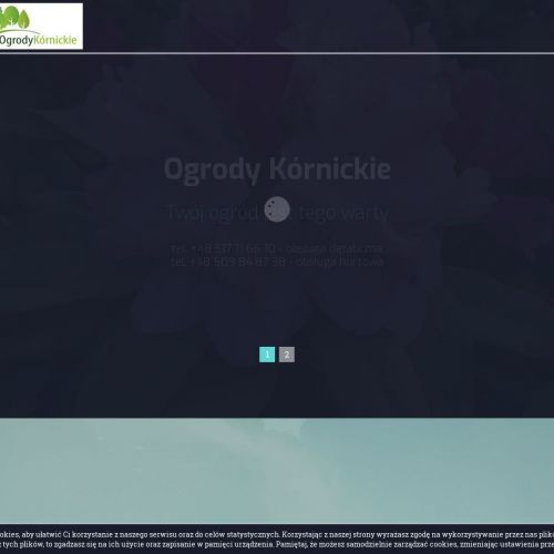 Krzewy liściaste szkółka Poznań